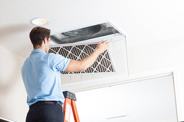 Best Solar-powered HVAC Systems in Grand Meadow, MN